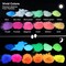 LET'S RESIN 12 Colors Glow in The Dark Pigment Powder - 20g/0.7oz Each Bottle Epoxy Resin Luminous Pigments Long Lasting for Slime, Nails, Acrylic Paint, Halloween Decoration,Art,Crafts